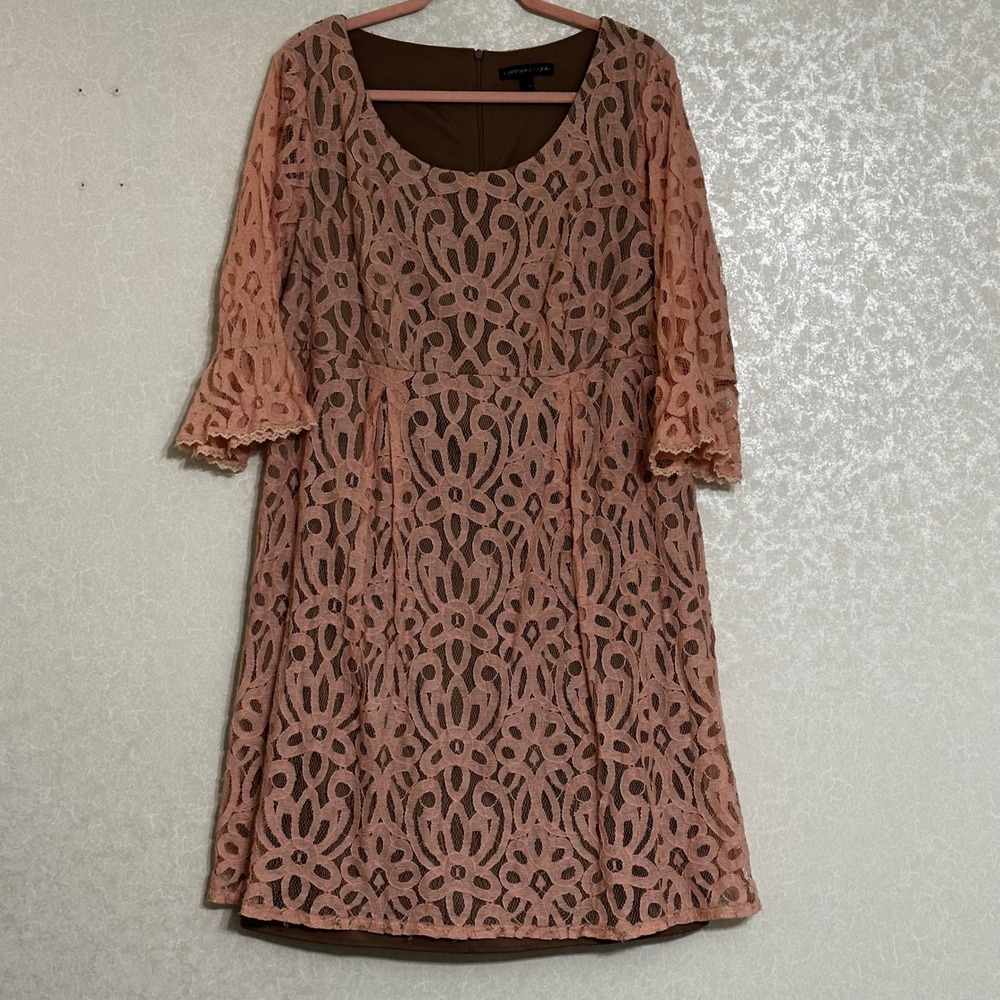 Chris McLaughlin Pink Lace Bell Sleeve A-Line Dress Knee Length Brown Lining 16W